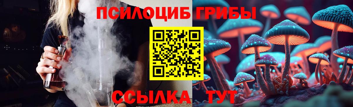 Галлюциногенные грибы MAGIC MUSHROOMS Красный Сулин